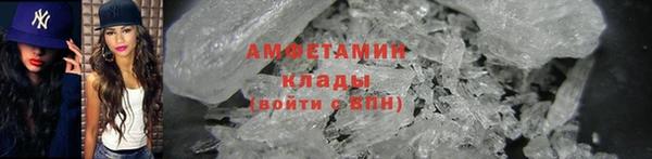 прущие грибы Горняк