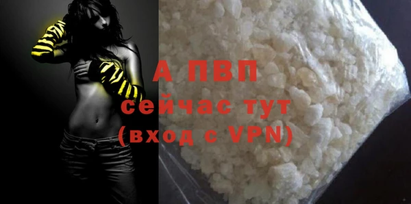 прущие грибы Горняк