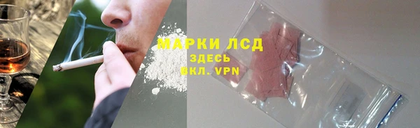 прущие грибы Горняк