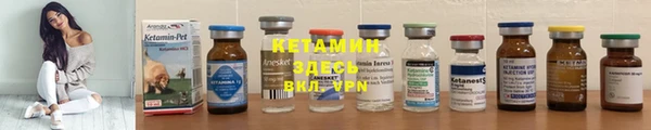 прущие грибы Горняк