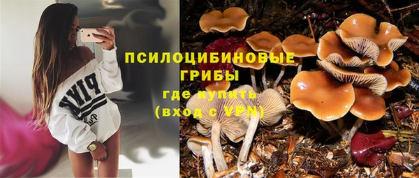 a pvp Вязьма