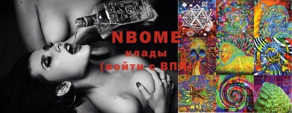 прущие грибы Горняк