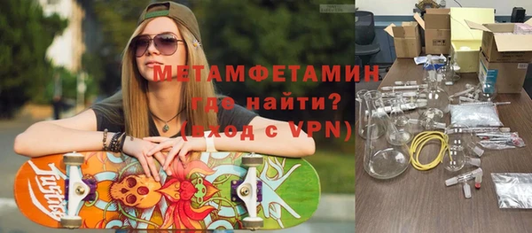 прущие грибы Горняк