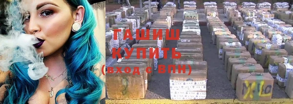 прущие грибы Горняк